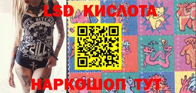 соль ск Новозыбков