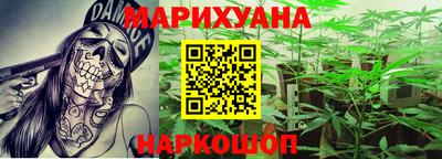 Альфа ПВП Новодвинск