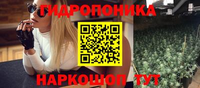 соль ск Новозыбков